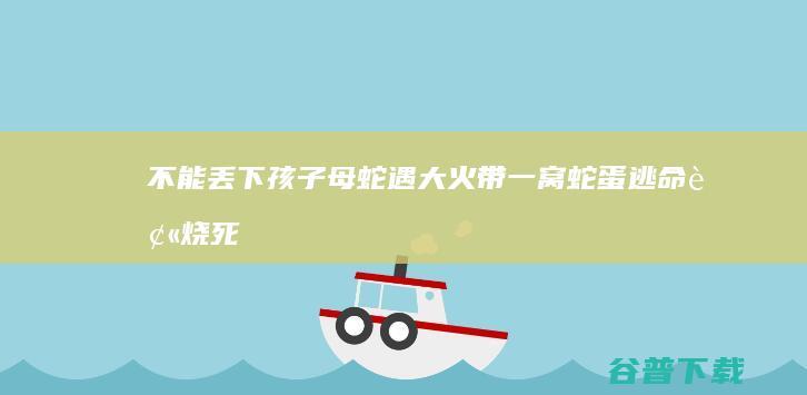 不能丢下孩子！母蛇遇大火带一窝蛇蛋逃命被烧死 (不能丢下孩子和父母的说说)